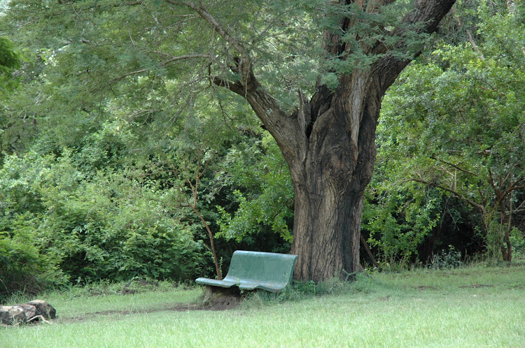 Ol Donyo Sabuk National Park.