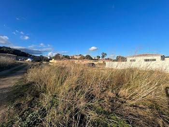 terrain à Isolaccio-di-Fiumorbo (2B)