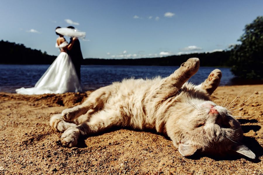 Pulmafotograaf Sergey Balanyan (balanian). Foto tehtud 19 juuni 2023