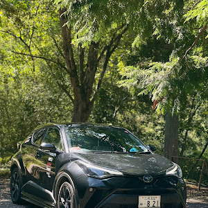 C-HR ZYX11