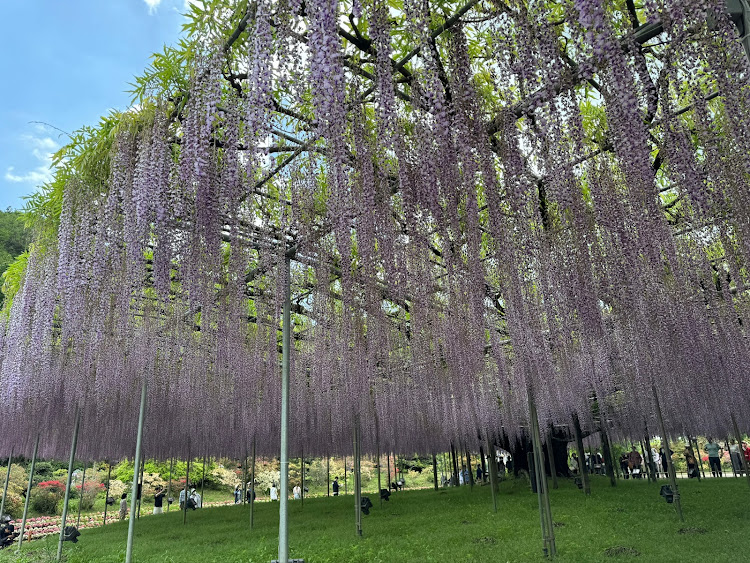 の投稿画像7枚目