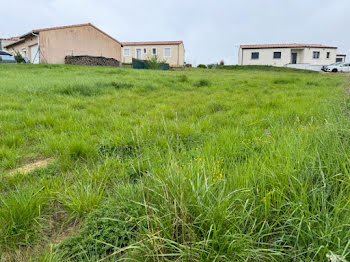 maison neuve à Salles-sur-l'Hers (11)