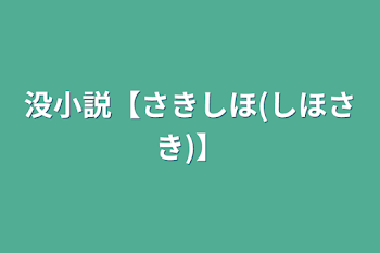 没小説【さきしほ(しほさき)】