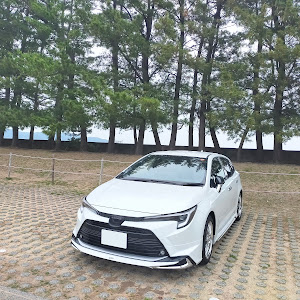 カローラツーリング