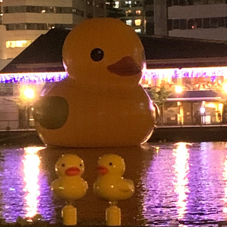 カローラツーリングのアヒル・散歩ドライブに関するカスタム事例の投稿画像2枚目
