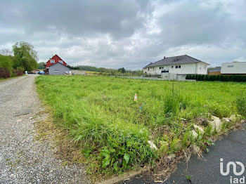 terrain à Heiwiller (68)