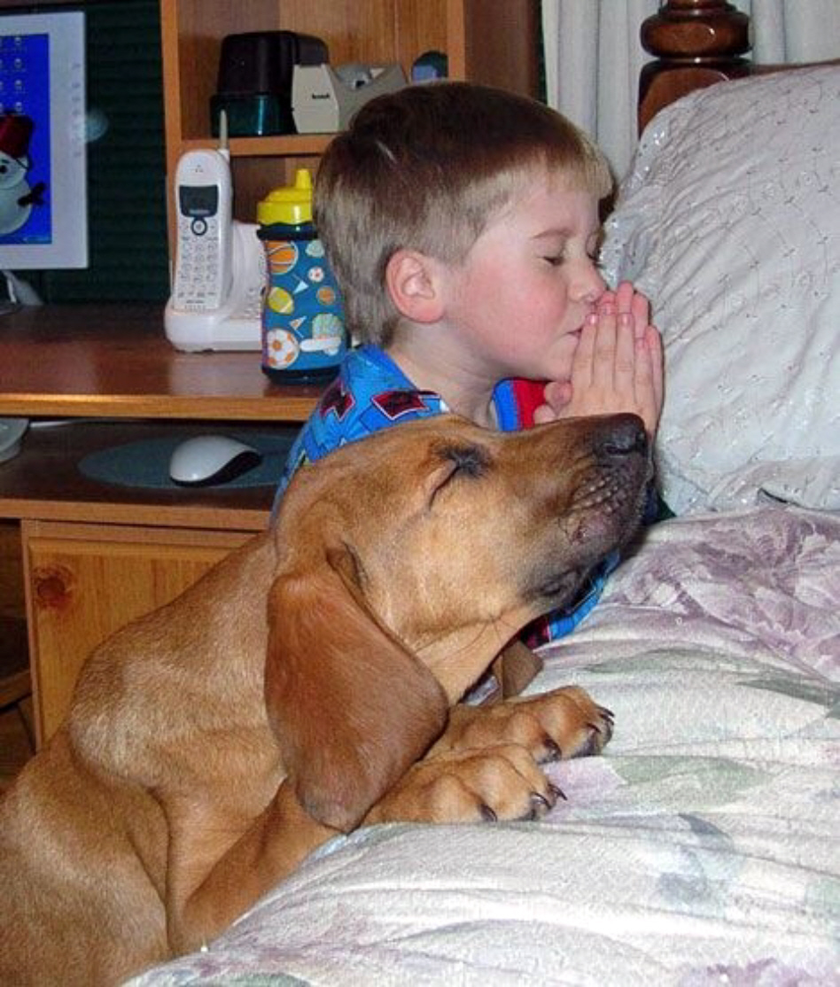 Thanksgiving boy dog pray.jpg