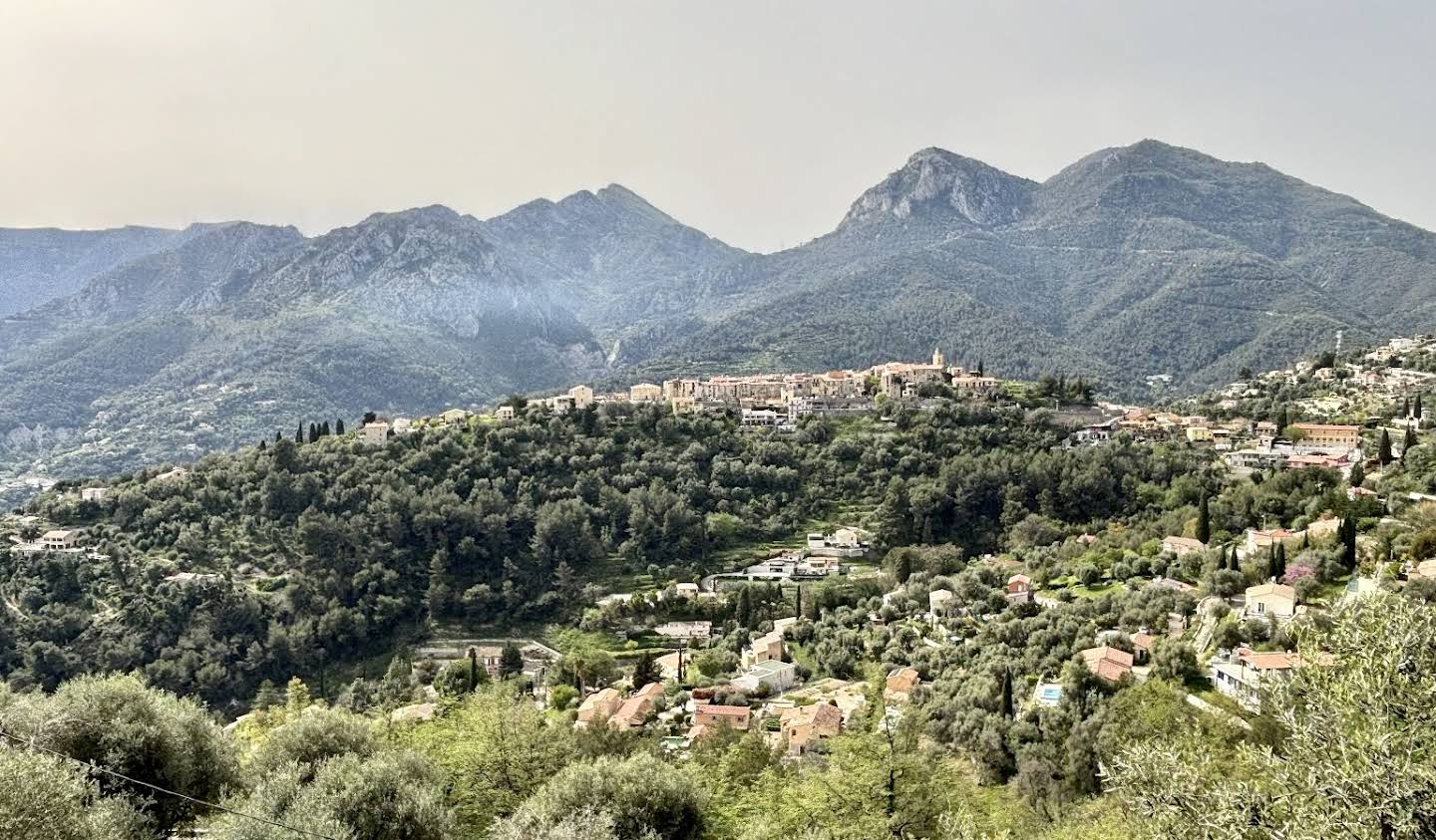 Villa avec jardin et terrasse Castellar