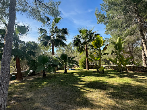 Maison avec piscine et jardin 4
