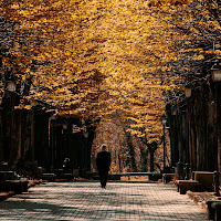 Viale del tramonto di 