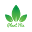 Plant Me Download on Windows