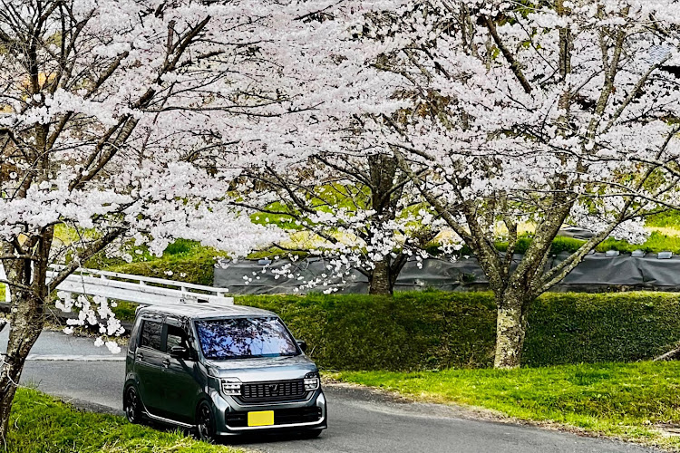 N-WGN カスタムの2022ベストショット・4月にエントリーします・iPhone撮影・JH3、4認知度強化月間に関するカスタム事例の投稿画像1枚目