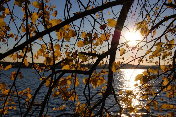 Cornice gialla sul tramonto... di Gianmaria89