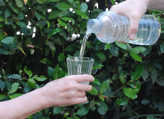 un bicchiere di acqua di mauriziosettimi