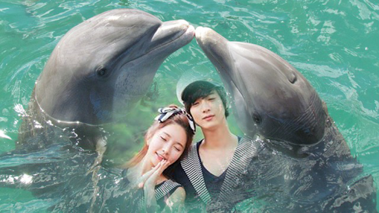How to install dolphin fish photo frame costume montage editor 1.0.0 apk for android