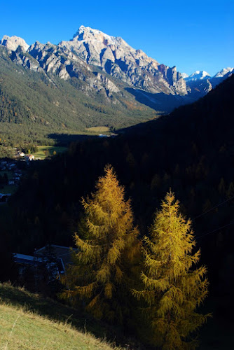 Larici con l'ultimo sole di maurinom78