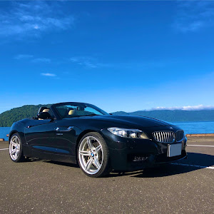 Z4 E89