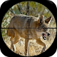 Coyote Hunting Calls Download on Windows