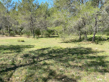 terrain à Méounes-lès-Montrieux (83)