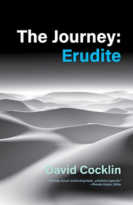 The Journey: Erudite cover