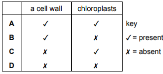 Cell organelles of a plant cell