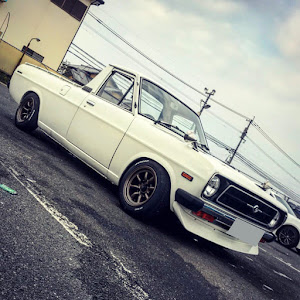 サニートラック