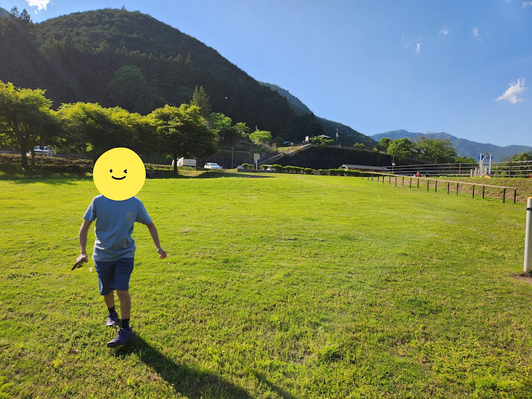 ステージアのドライブ・バンパー・擦る・ダム綺麗なところに関するカスタム事例の投稿画像1枚目