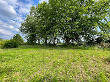 terrain à Faverolles-sur-Cher (41)