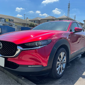 CX-30 DMEP