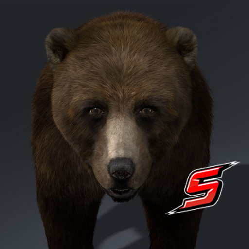 3D MASTER BEAR icon