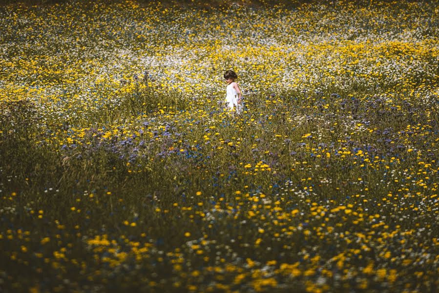 Fotógrafo de bodas Mark Shaw (markshaw). Foto del 24 de agosto 2018