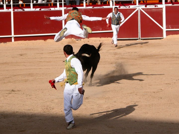 La corrida si fa anche così.... di mayoplast