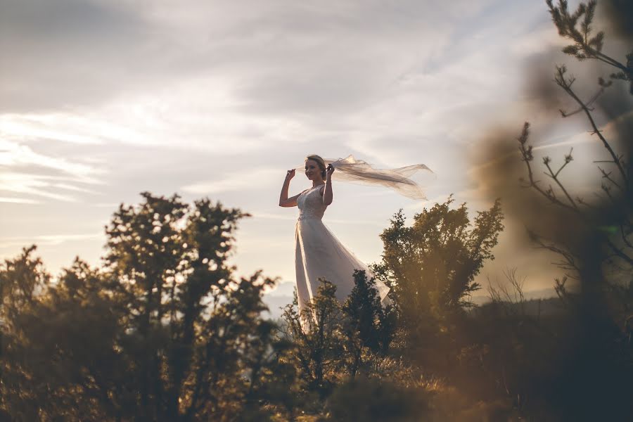 Vestuvių fotografas Tim Demski (timdemski). Nuotrauka 2017 kovo 19