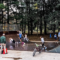 Lo scivolo di acquario