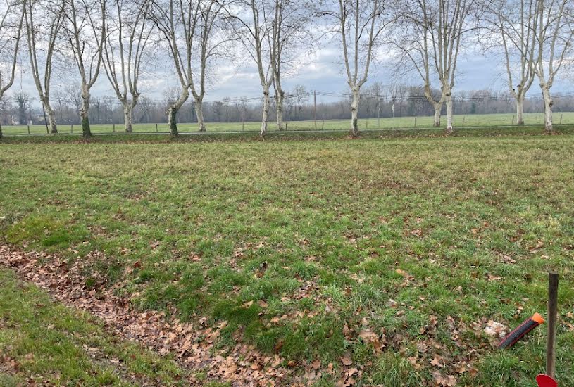  Vente Terrain + Maison - Terrain : 1 175m² - Maison : 85m² à Soual (81580) 