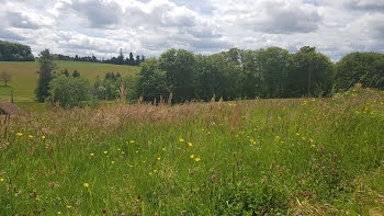 terrain à Le Val-d'Ajol (88)