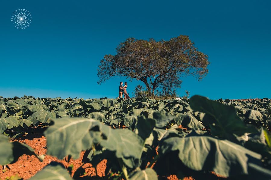 Svatební fotograf Nelson Campos (nelsoncampos). Fotografie z 7.listopadu 2019