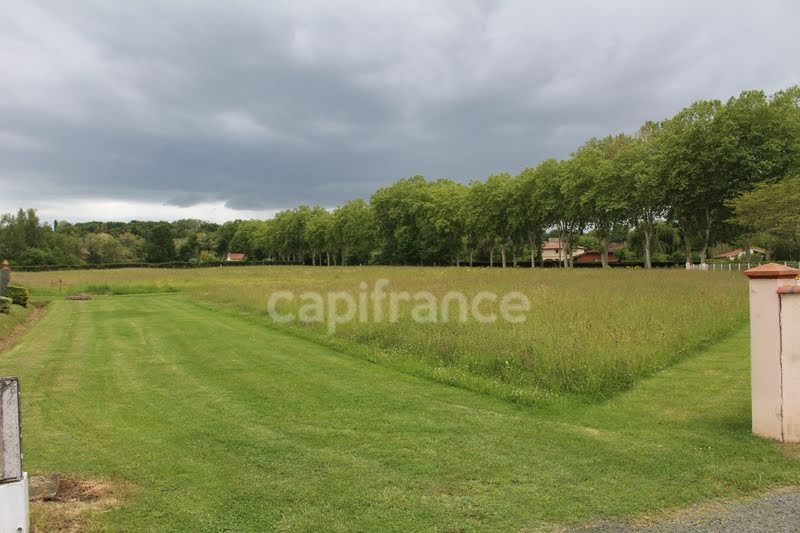 Vente terrain  1820 m² à Montesquieu-Volvestre (31310), 74 000 €