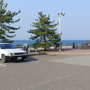 カローラレビン AE86