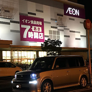 bB NCP31