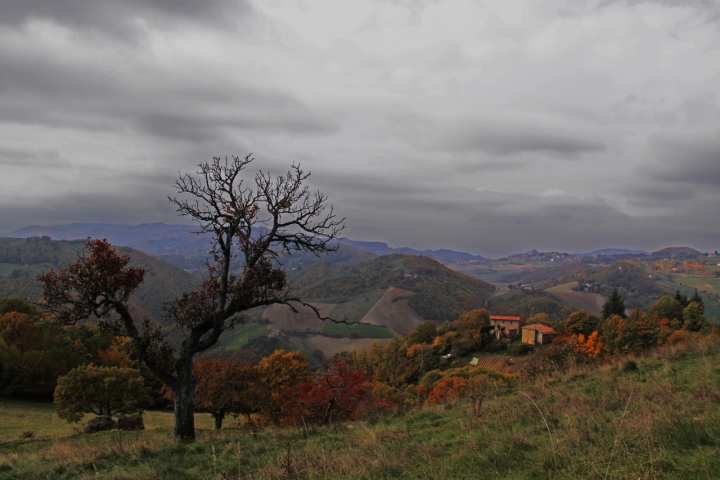 Colori di novembre di Sasha11