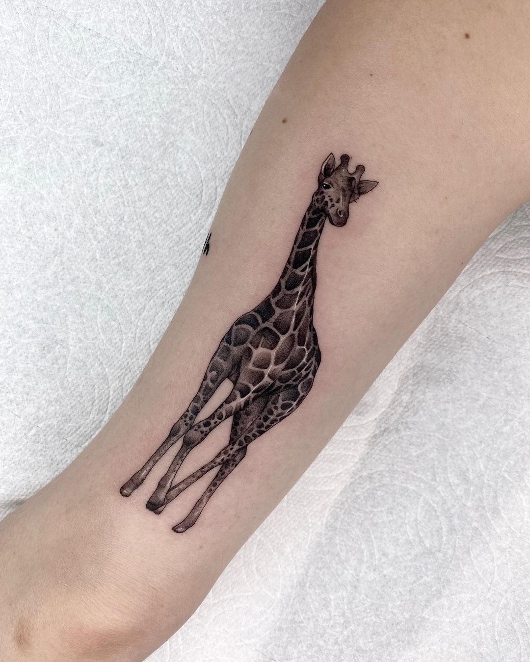 Cute Animal tattoos