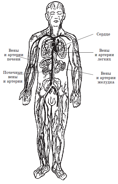 Resim