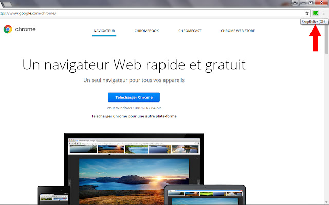 ScriptFilter chrome extension