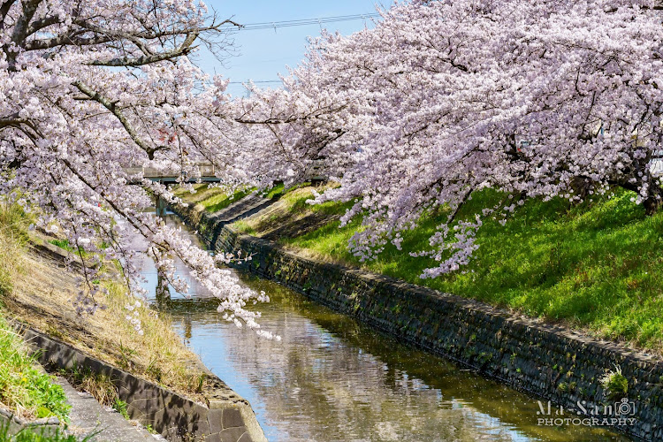 の投稿画像2枚目