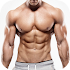 Pro Gym Workout (Gym Workouts & Fitness)5.2