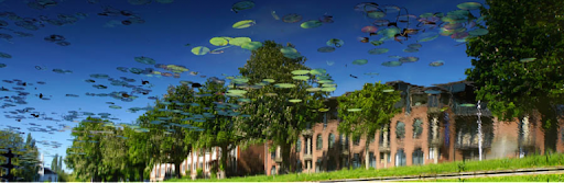 Witte Singel, Water Lilies