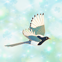 Icon BirdAscendDescendPlay