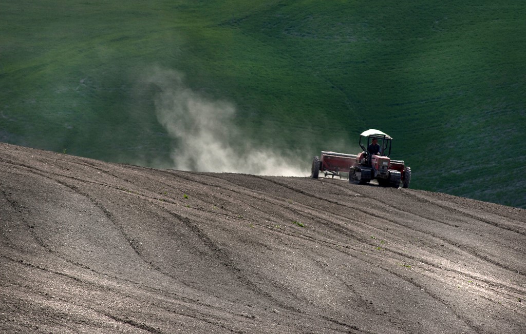 Terra da lavorare di RobertaSilvestro