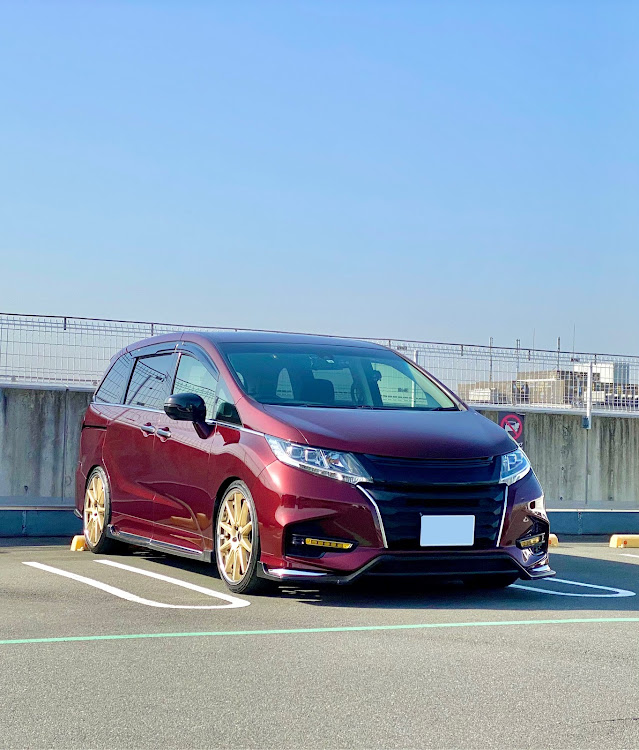 オデッセイのドライブデート日和・日比谷花壇大船フラワーセンター・黒いネモフィラ・春めき桜満開・散歩＆ランチに関するカスタム事例の投稿画像2枚目